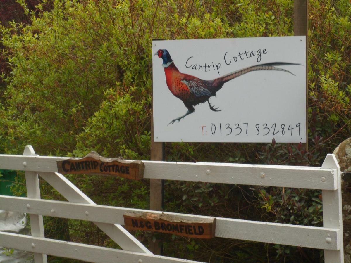 Cantrip Cottage Cupar Dış mekan fotoğraf